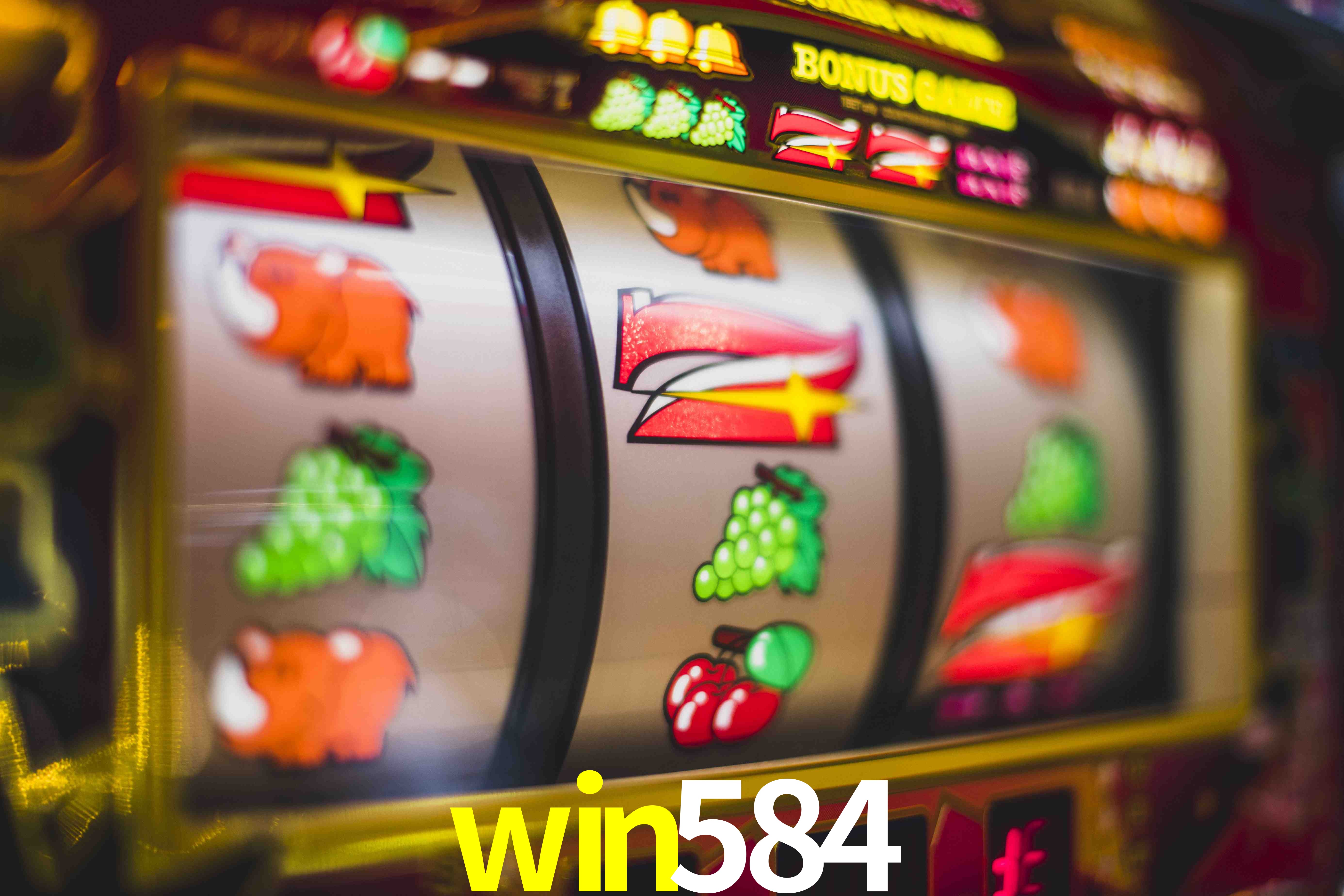 Basketball Betting win584